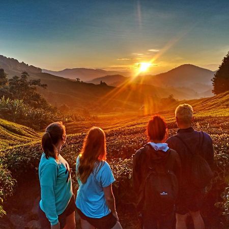 C1 Backpackers Hostel Cameron Highlands Exteriör bild