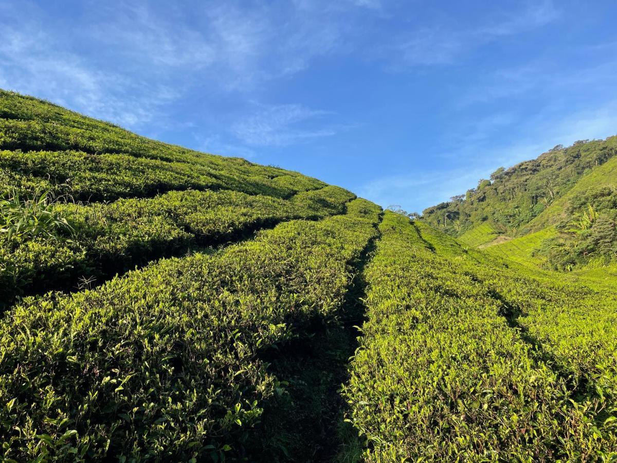 C1 Backpackers Hostel Cameron Highlands Exteriör bild